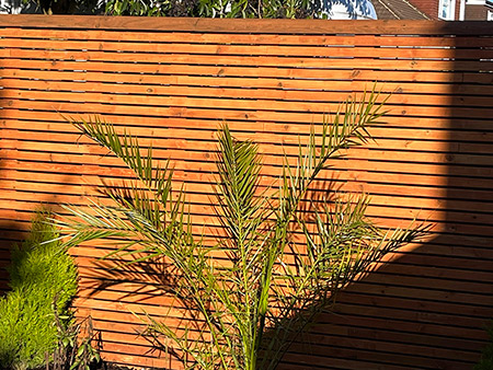 Fencing Interior Side