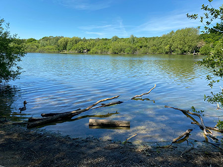Ruislip Lido